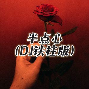 半点心（DJ铁柱版）