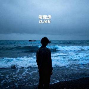 带我走 (DJ版) (Remix)