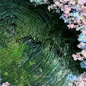 林涧回响