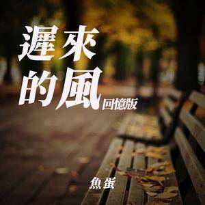 迟来的风(回忆版)