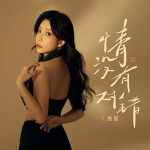 情没有对错 (DJ版)