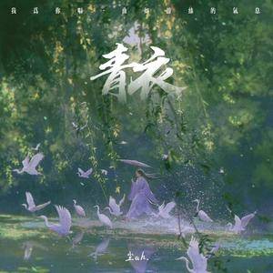 青衣 (DJ我为你唱一曲如游丝的气息)
