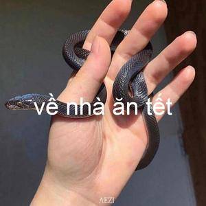 Về nhà ăn tết（翻自 群星）