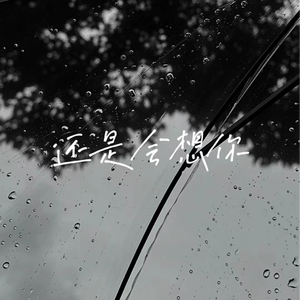 还是会想你