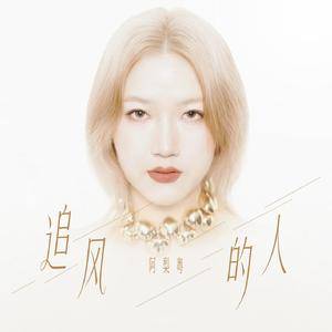追风的人