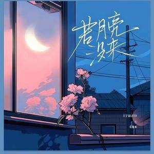 若月亮没来 (DJ版)