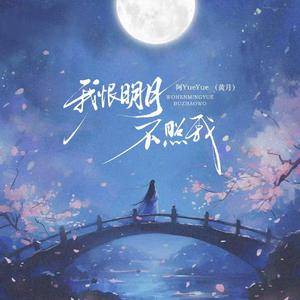 我恨明月不照我